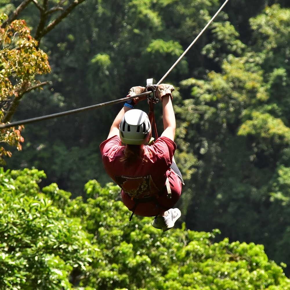 Meet your Posher, Allison